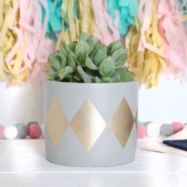 Grey and Gold Plant Pot