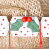Hedgehogs With Cracker Christmas Tree Decoration