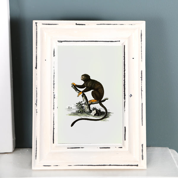 Off White Wooden Photo Frame