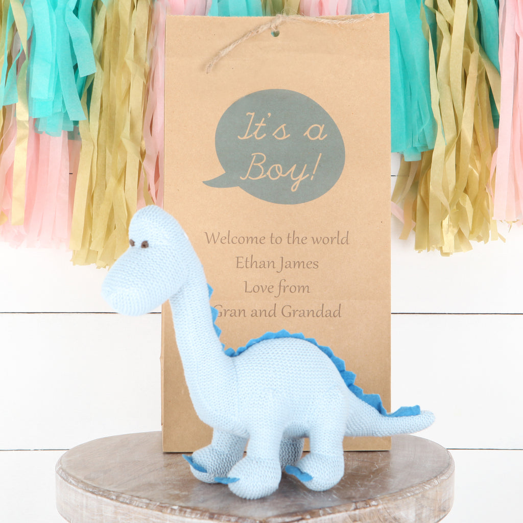 Blue Diplodocus Dinosaur Rattle + Personalised Gift Bag