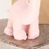Personalised Gift Bag + Pink Diplodocus Rattle Dinosaur
