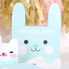 Organic Bunny Newborn Socks And Personalised Gift Bag, EASTER