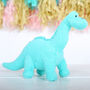 Dinosaur Rattle With Personalised Gift Bag