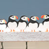 Puffin Four Hook Key Rack