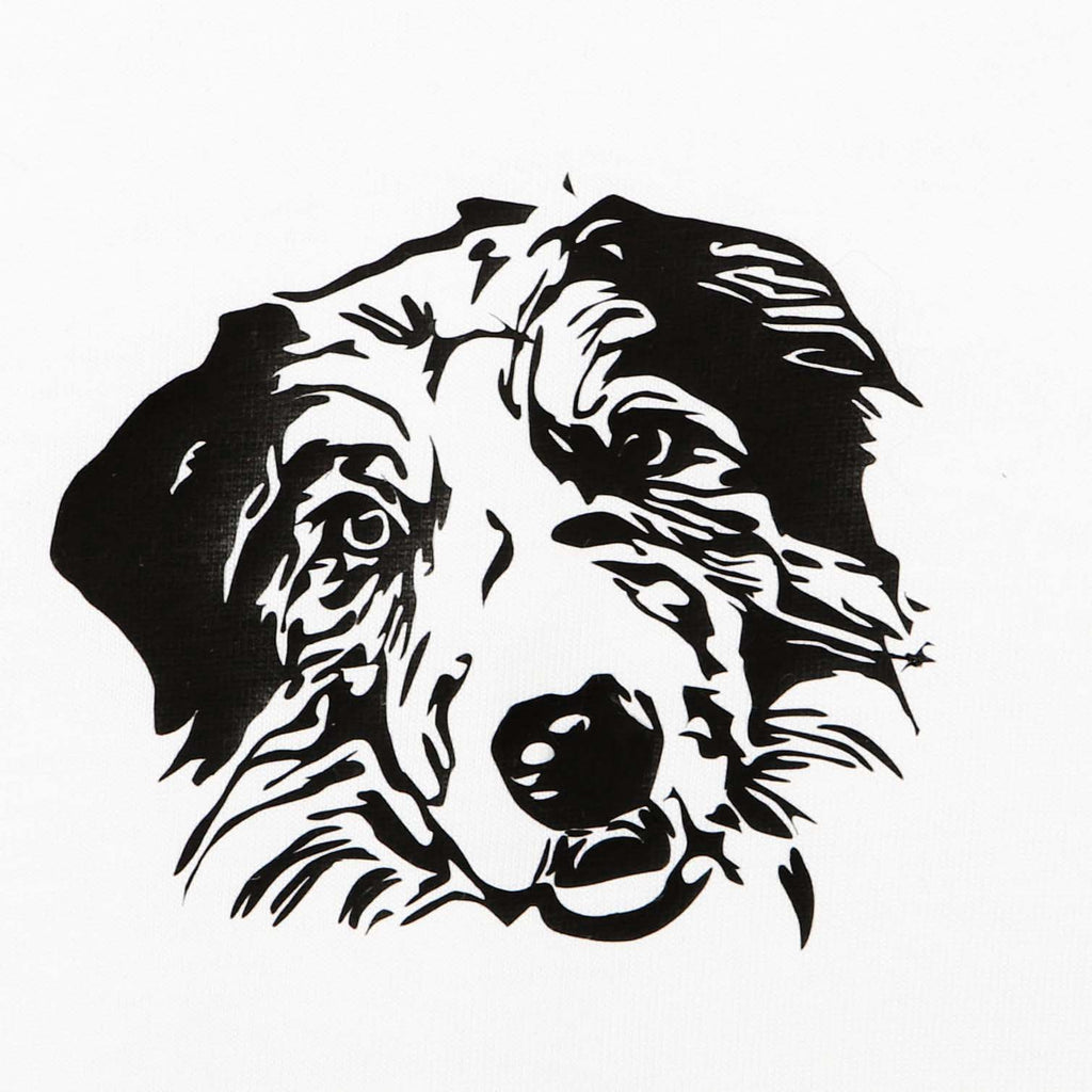 order for Islay Gallagher